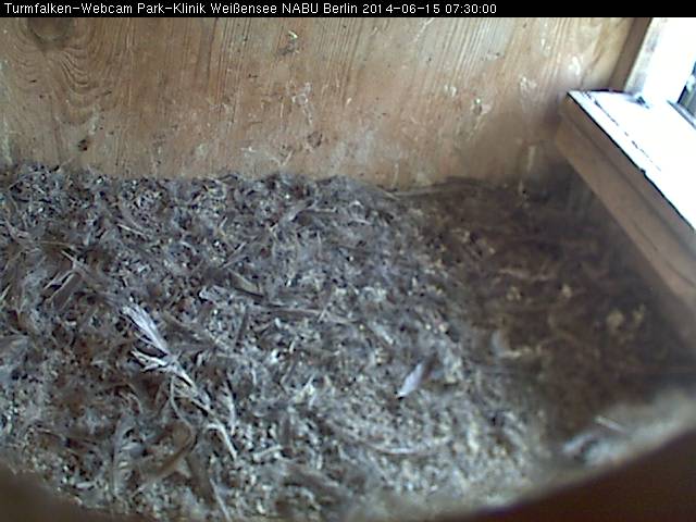 Schnappschuss