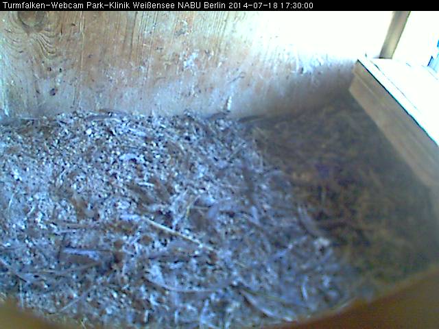 Schnappschuss