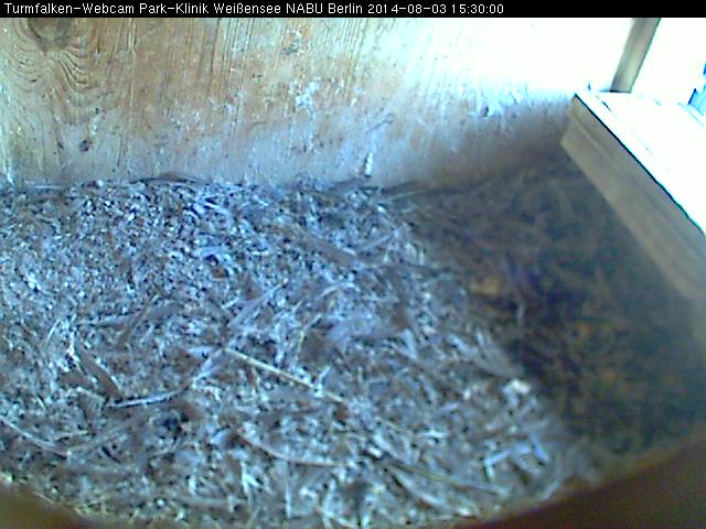 Schnappschuss