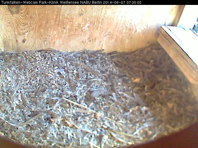 Schnappschuss