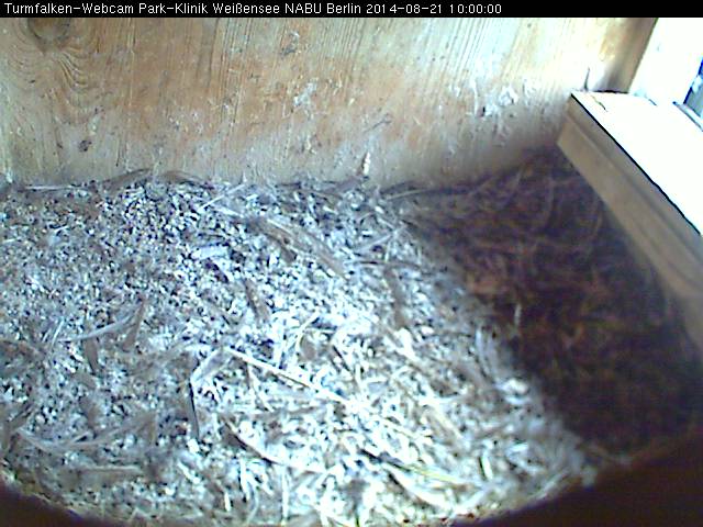 Schnappschuss