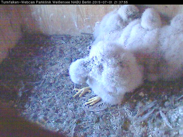 Schnappschuss