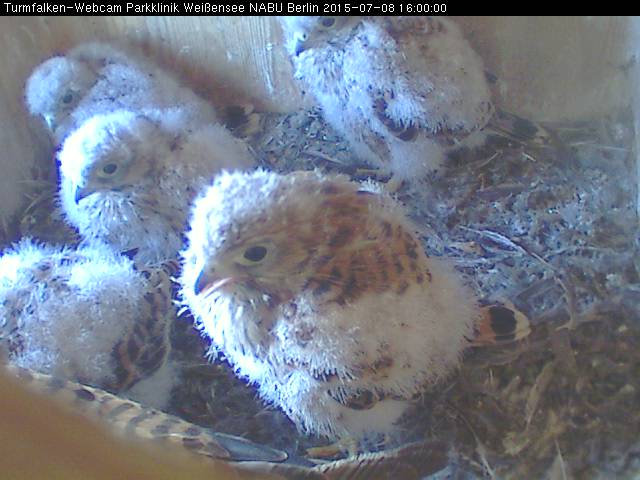 Schnappschuss