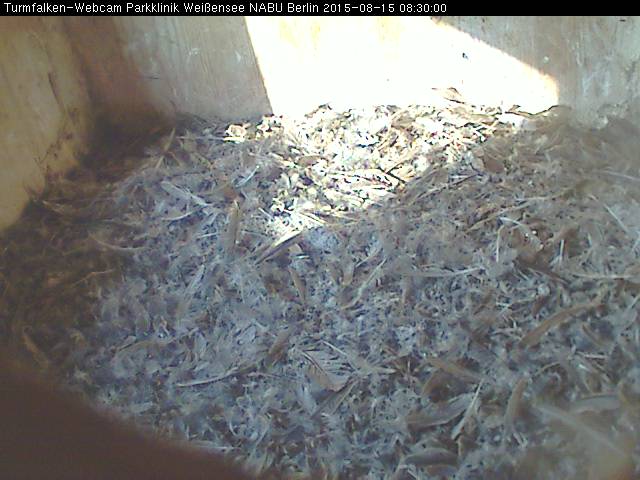 Schnappschuss