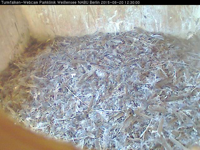 Schnappschuss