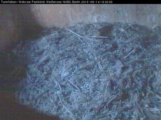 Schnappschuss