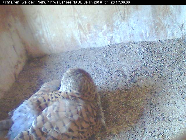 Schnappschuss