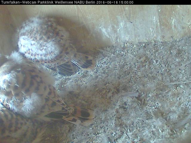 Schnappschuss