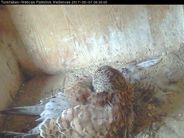 Schnappschuss