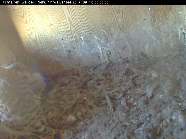 Schnappschuss
