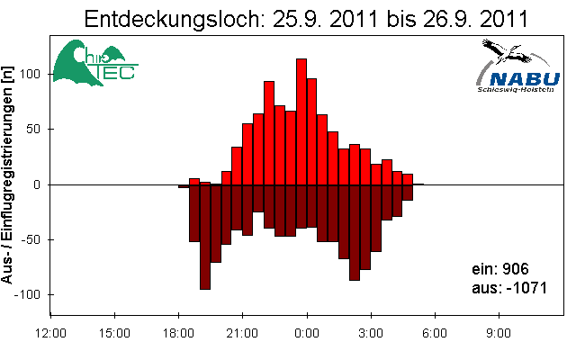 [Fledermaus] Lichtschranke: Segeberger Kalkberg (NABU Schleswig-Holstein)
