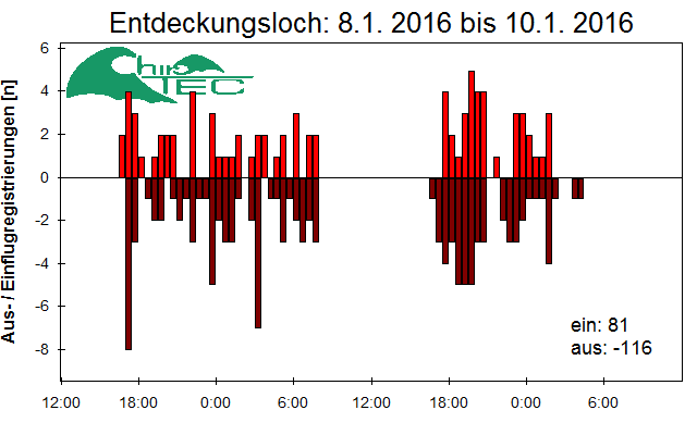 [Fledermaus] Lichtschranke: Segeberger Kalkberg (NABU Schleswig-Holstein)