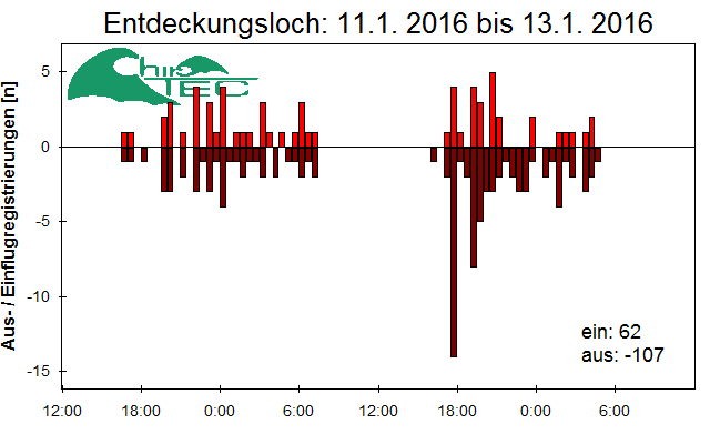 [Fledermaus] Lichtschranke: Segeberger Kalkberg (NABU Schleswig-Holstein)