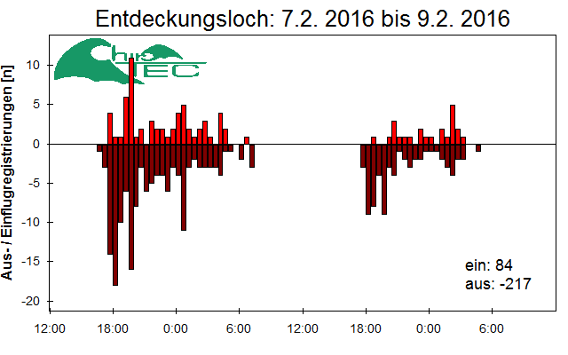 [Fledermaus] Lichtschranke: Segeberger Kalkberg (NABU Schleswig-Holstein)
