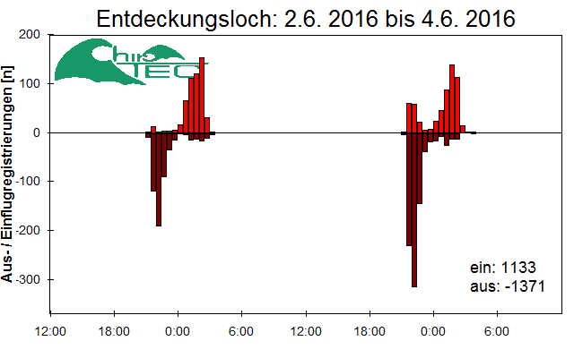 [Fledermaus] Lichtschranke: Segeberger Kalkberg (NABU Schleswig-Holstein)