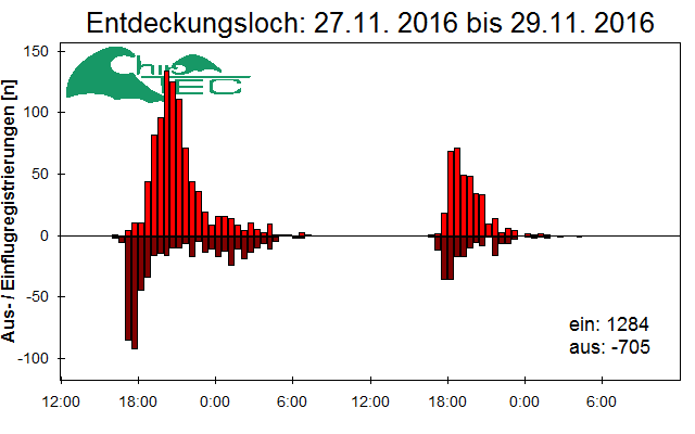 [Fledermaus] Lichtschranke: Segeberger Kalkberg (NABU Schleswig-Holstein)