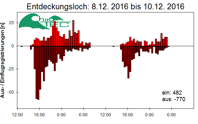 [Fledermaus] Lichtschranke: Segeberger Kalkberg (NABU Schleswig-Holstein)