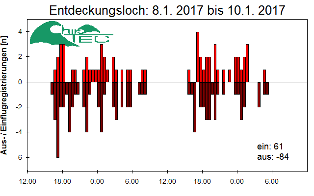 [Fledermaus] Lichtschranke: Segeberger Kalkberg (NABU Schleswig-Holstein)