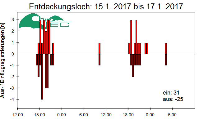 [Fledermaus] Lichtschranke: Segeberger Kalkberg (NABU Schleswig-Holstein)