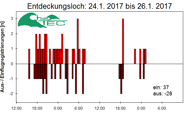[Fledermaus] Lichtschranke: Segeberger Kalkberg (NABU Schleswig-Holstein)