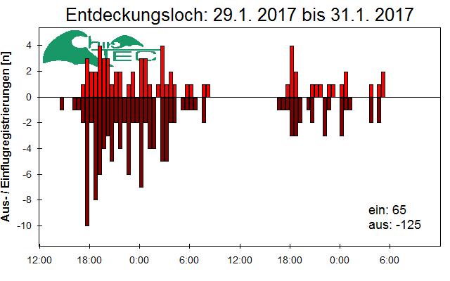 [Fledermaus] Lichtschranke: Segeberger Kalkberg (NABU Schleswig-Holstein)