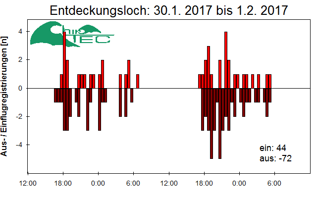 [Fledermaus] Lichtschranke: Segeberger Kalkberg (NABU Schleswig-Holstein)
