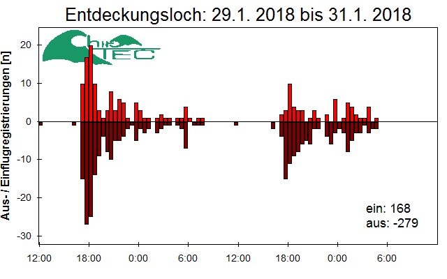 [Fledermaus] Lichtschranke: Segeberger Kalkberg (NABU Schleswig-Holstein)