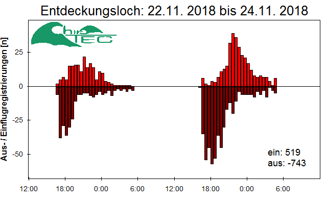 [Fledermaus] Lichtschranke: Segeberger Kalkberg (NABU Schleswig-Holstein)