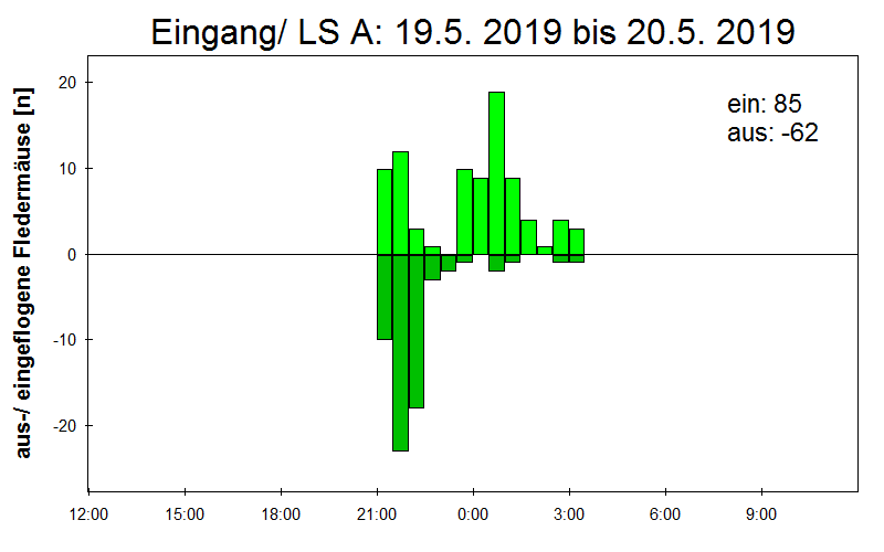 [Fledermaus] Lichtschranke: Segeberger Kalkberg (NABU Schleswig-Holstein)
