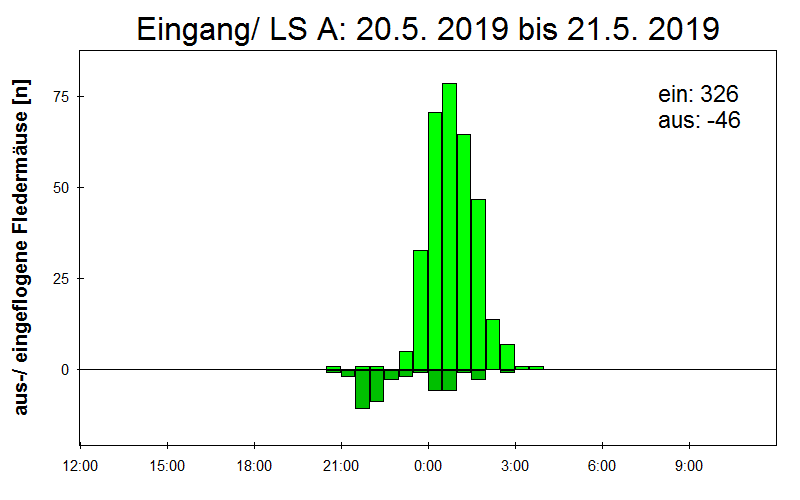 [Fledermaus] Lichtschranke: Segeberger Kalkberg (NABU Schleswig-Holstein)