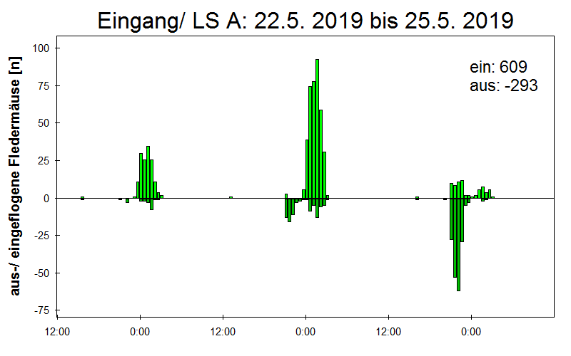 [Fledermaus] Lichtschranke: Segeberger Kalkberg (NABU Schleswig-Holstein)