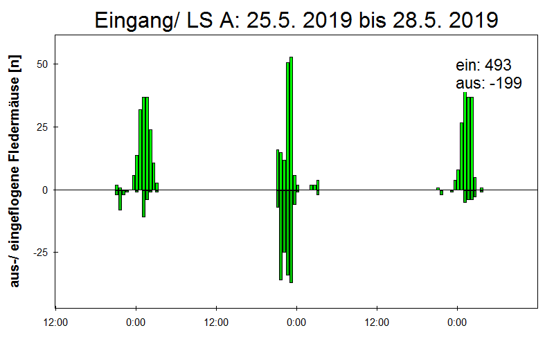 [Fledermaus] Lichtschranke: Segeberger Kalkberg (NABU Schleswig-Holstein)