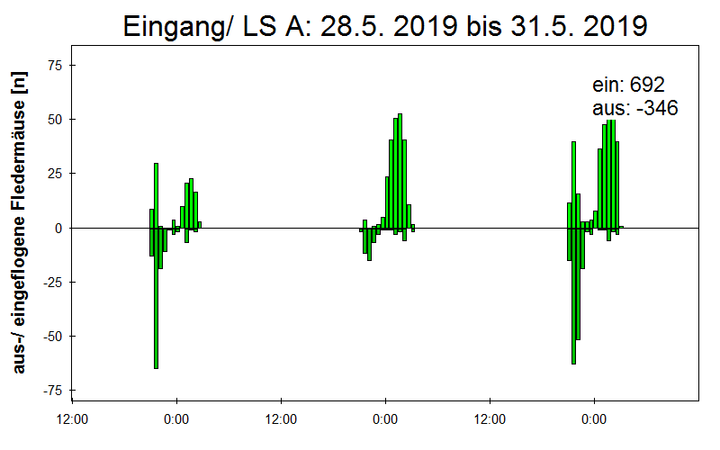[Fledermaus] Lichtschranke: Segeberger Kalkberg (NABU Schleswig-Holstein)