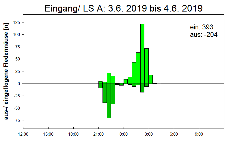 [Fledermaus] Lichtschranke: Segeberger Kalkberg (NABU Schleswig-Holstein)