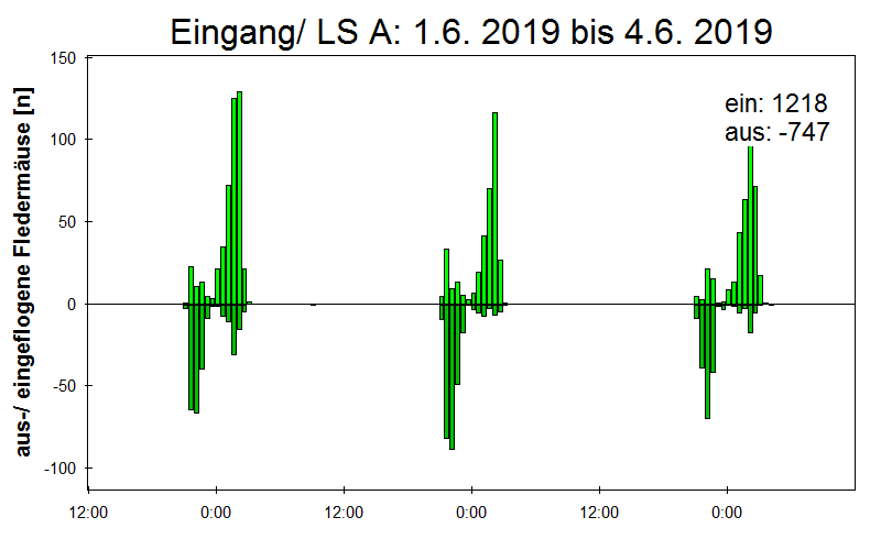 [Fledermaus] Lichtschranke: Segeberger Kalkberg (NABU Schleswig-Holstein)