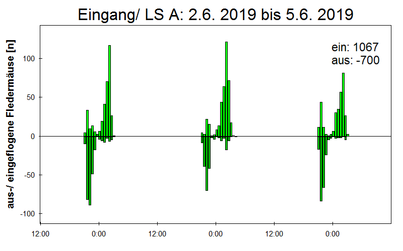 [Fledermaus] Lichtschranke: Segeberger Kalkberg (NABU Schleswig-Holstein)