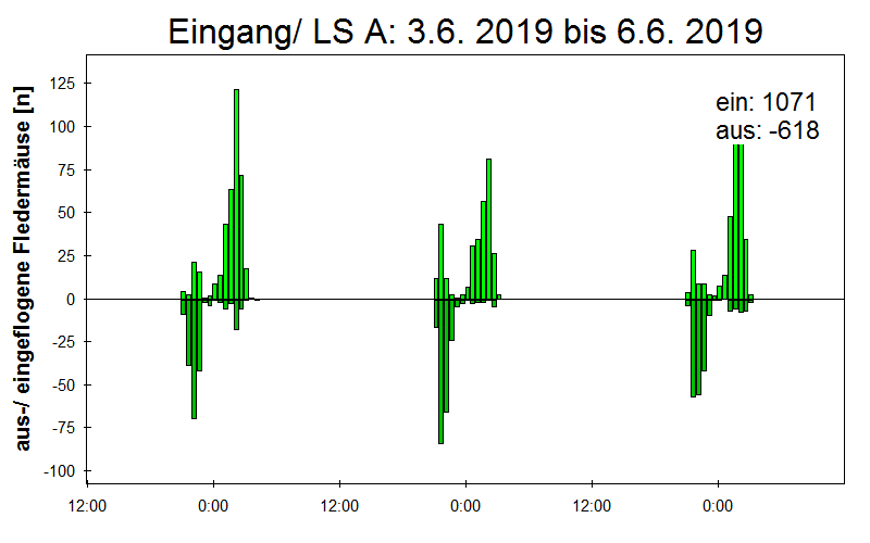 [Fledermaus] Lichtschranke: Segeberger Kalkberg (NABU Schleswig-Holstein)