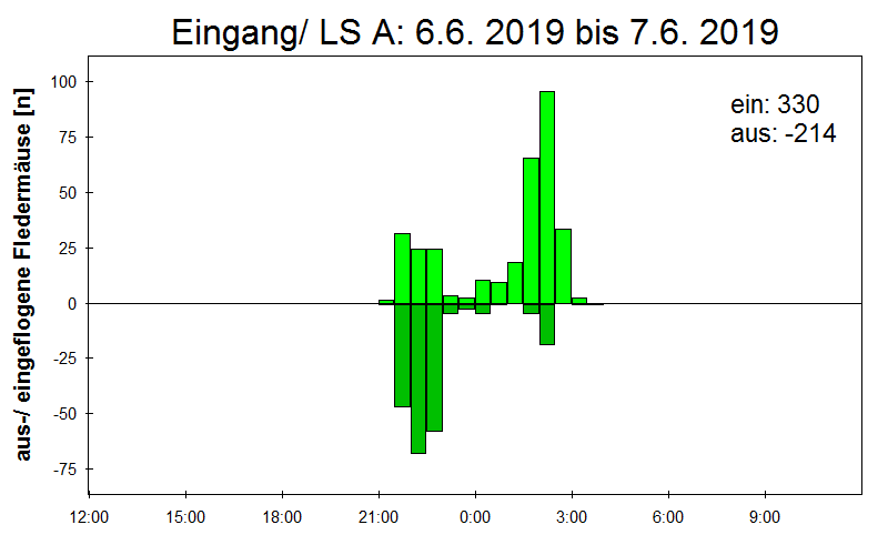 [Fledermaus] Lichtschranke: Segeberger Kalkberg (NABU Schleswig-Holstein)
