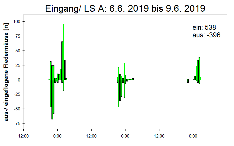 [Fledermaus] Lichtschranke: Segeberger Kalkberg (NABU Schleswig-Holstein)