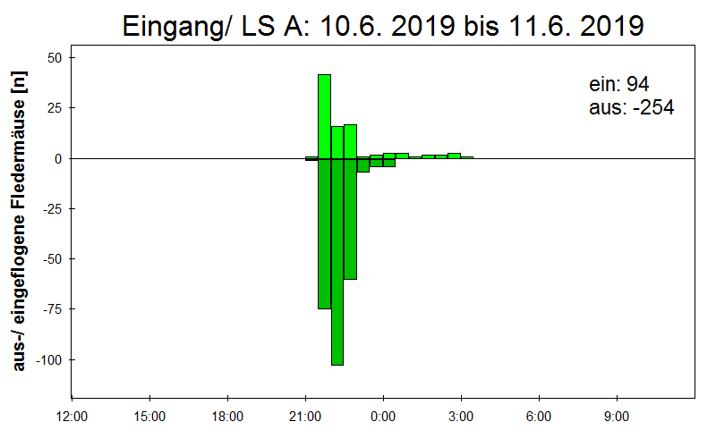 [Fledermaus] Lichtschranke: Segeberger Kalkberg (NABU Schleswig-Holstein)