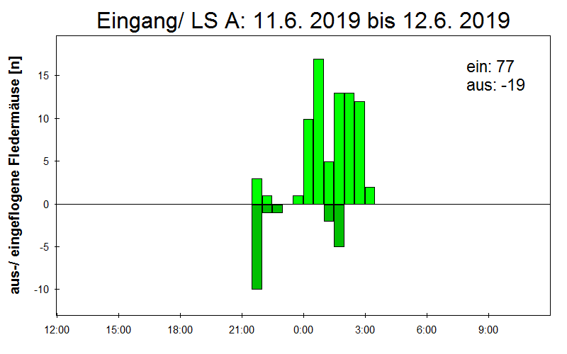 [Fledermaus] Lichtschranke: Segeberger Kalkberg (NABU Schleswig-Holstein)