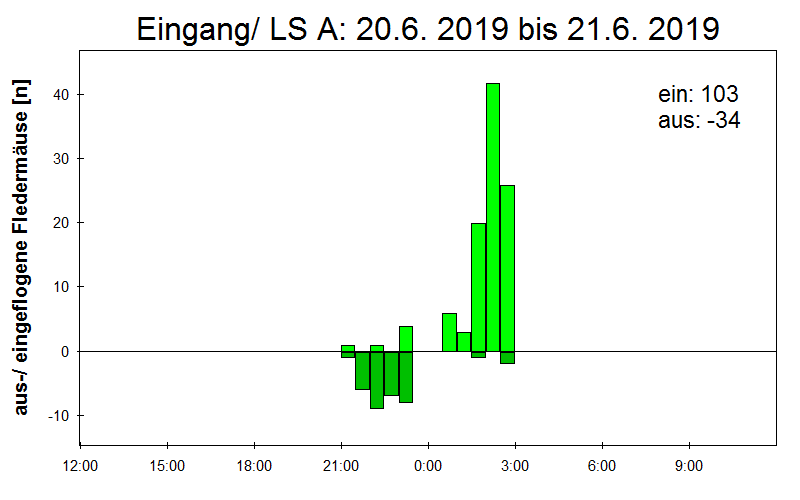 [Fledermaus] Lichtschranke: Segeberger Kalkberg (NABU Schleswig-Holstein)