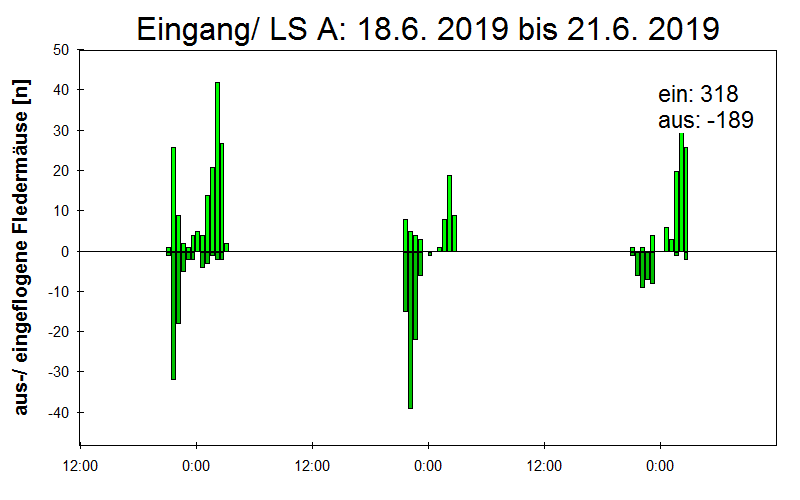 [Fledermaus] Lichtschranke: Segeberger Kalkberg (NABU Schleswig-Holstein)