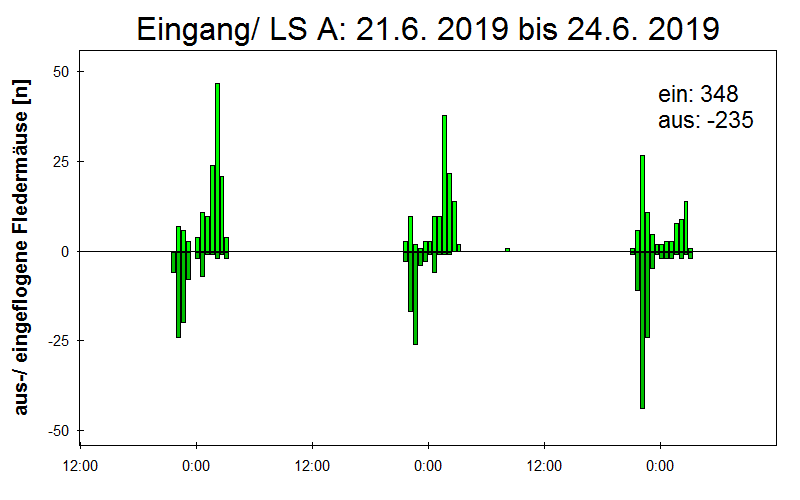 [Fledermaus] Lichtschranke: Segeberger Kalkberg (NABU Schleswig-Holstein)