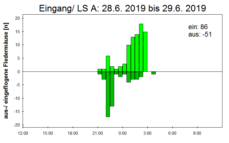 [Fledermaus] Lichtschranke: Segeberger Kalkberg (NABU Schleswig-Holstein)