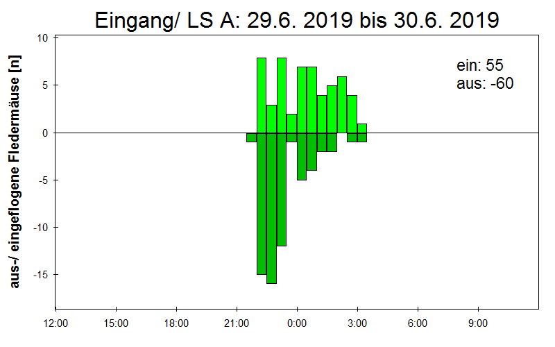 [Fledermaus] Lichtschranke: Segeberger Kalkberg (NABU Schleswig-Holstein)