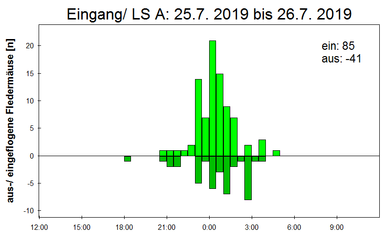 [Fledermaus] Lichtschranke: Segeberger Kalkberg (NABU Schleswig-Holstein)