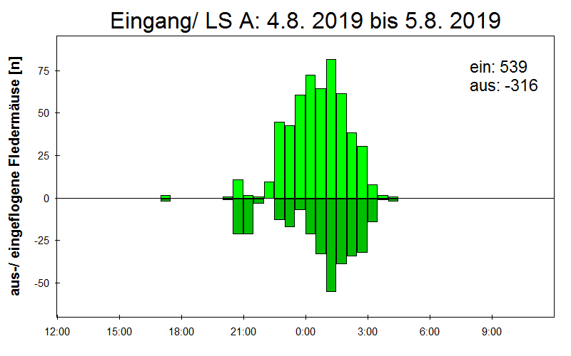 [Fledermaus] Lichtschranke: Segeberger Kalkberg (NABU Schleswig-Holstein)