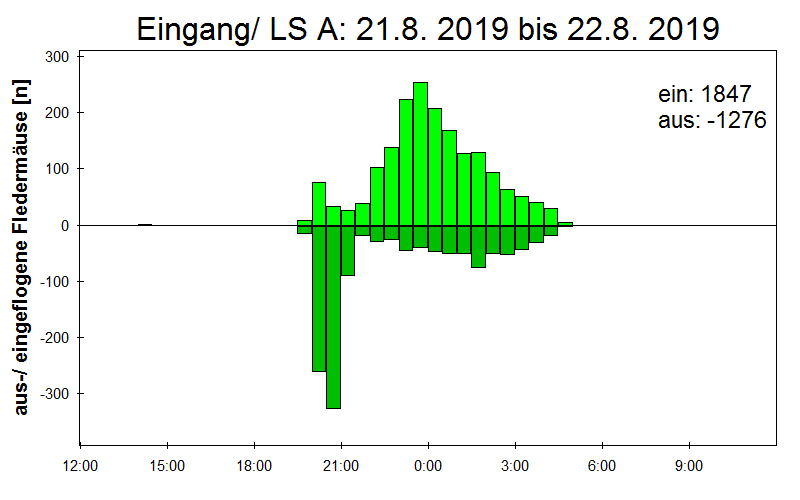 [Fledermaus] Lichtschranke: Segeberger Kalkberg (NABU Schleswig-Holstein)