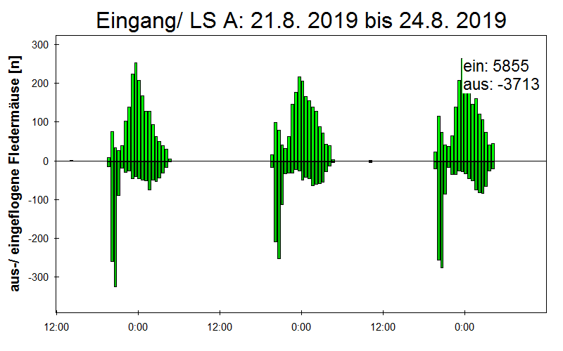 [Fledermaus] Lichtschranke: Segeberger Kalkberg (NABU Schleswig-Holstein)